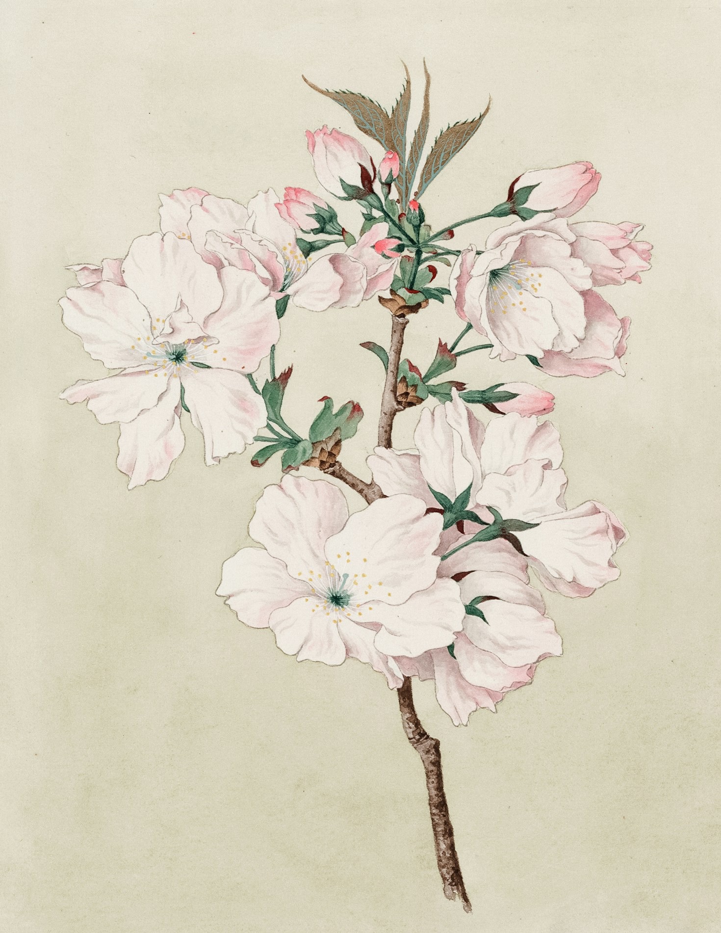 Traditional vs. Digital: Finding Harmony in Art