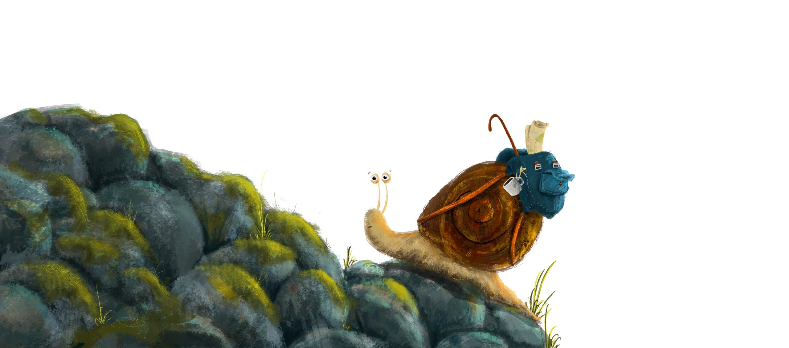 Schnecke auf Steinen